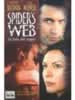 Spider's Web - La tela del ragno