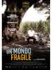 Un mondo fragile