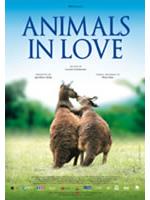 Animals In Love