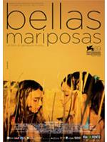 Bellas Mariposas