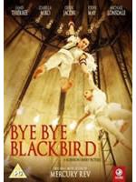 Bye Bye Blackbird