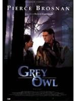 Grey Owl