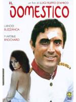 Il Domestico