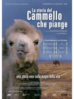 La Storia Del Cammello Che Piange